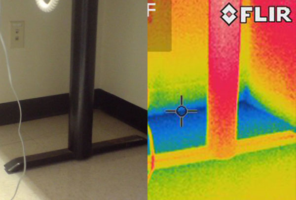 Water & Moisture Damage